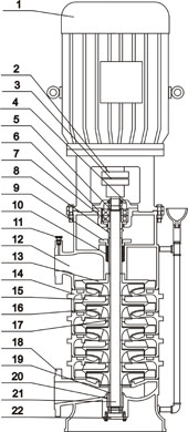 DL立式清水低轉速多級泵結構示意圖